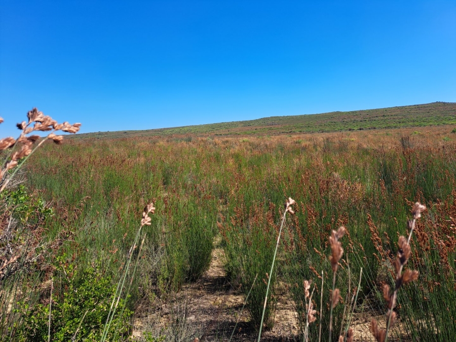  Bedroom Property for Sale in Riversdale Rural Western Cape